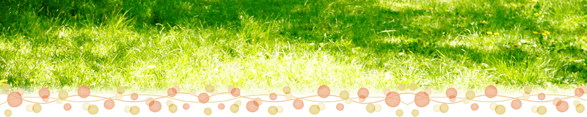 プライバシーポリシー